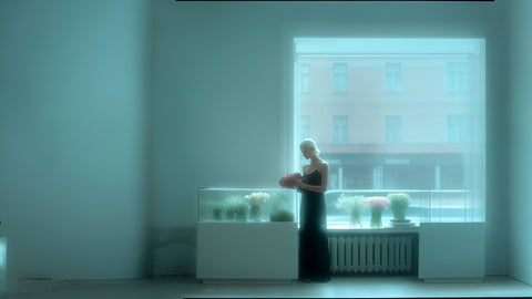 hello we are Terra Nube