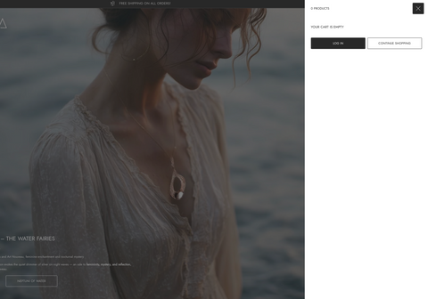 Website Design: Shopify Based