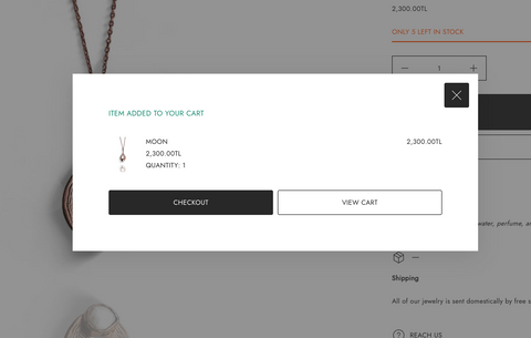 Website Design: Shopify Based