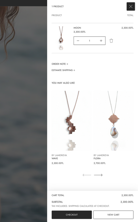 Website Design: Shopify Based